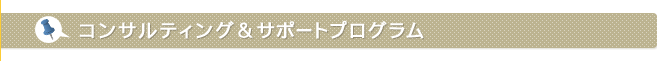 コンサルティング&サポートプログラム